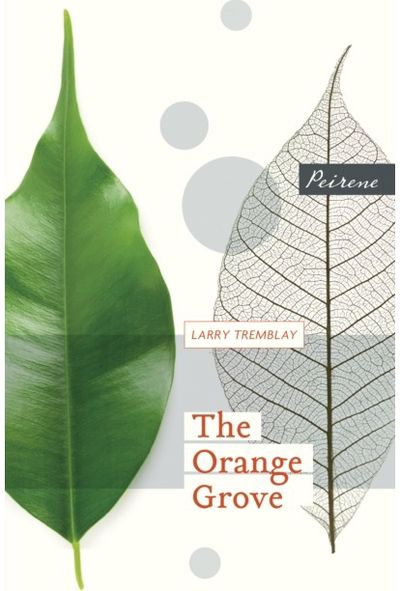 Orange Grove