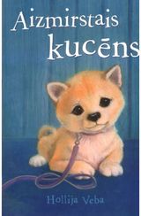 Aizmirstais Kucns
