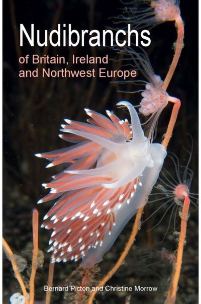 Nudibranchs of Second Edition