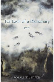 For Lack of a Dictionary