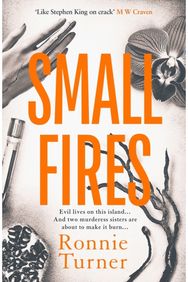 Small Fires: This year's most unsettling, hypnotic contemporary gothic thriller This year's most unsettling, hypnotic contemporary gothic thriller