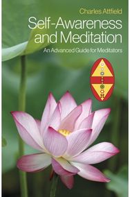Self-Awareness and Meditation: An Advanced Guide for Meditators An Advanced Guide for Meditators