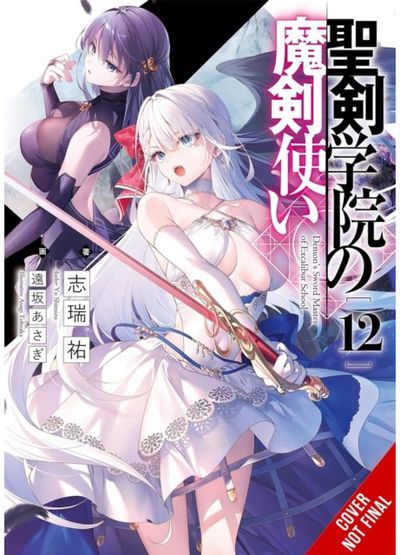 The Demon Sword Master of Excalibur Academy, Vol. 12 (light novel)