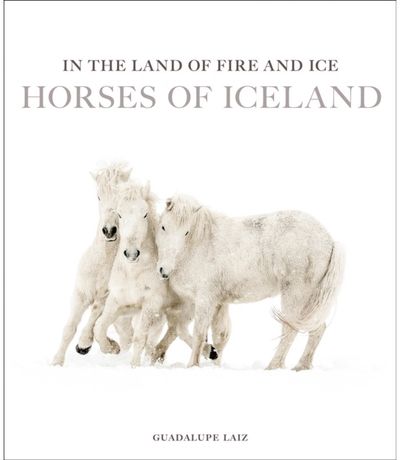 In the Land of Fire and Ice: Horses of Iceland