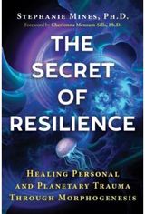 Secret of Resilience Healing Personal and