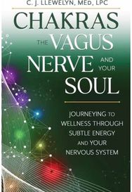 Chakras, the Vagus Nerve, and Your Soul: Journeying to Wellness Through Subtle Energy and Your Nervous System Wellness Through Subtle Energy and Your Nervous System