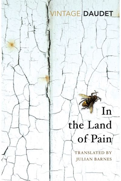 In the Land of Pain