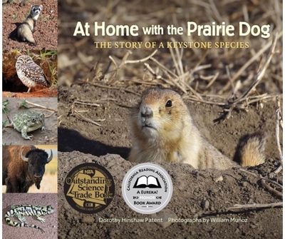 At Home with the The Story of a