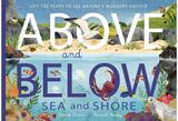 Above and Below: Sea Lift the flaps to