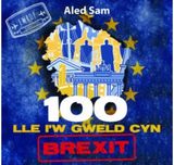 100 Lle iw Gweld Cyn
