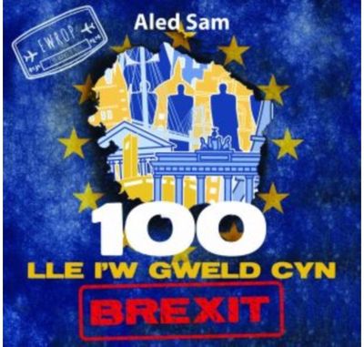 100 Lle iw Gweld Cyn
