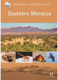 Southern Morocco