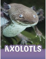 Axolotls