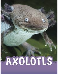 Axolotls