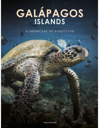 Galapagos Islands: A Showcase of Evolution