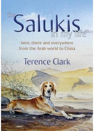 Salukis in My Life From the Arab world to China