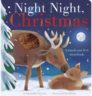 Night Night, Christmas: A touch-and-feel storybook