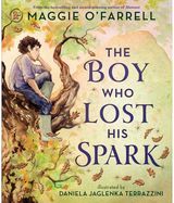 Boy Who Lost His Spark