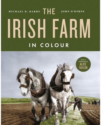 Irish Farm in Colour