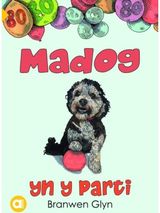 Cyfres Amdani: Madog yn y Parti