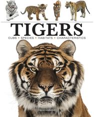Tigers