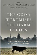 Good It Promises, Critical Essays on