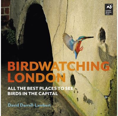 Birdwatching London The Best Places to