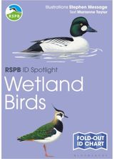 RSPB ID Spotlight -