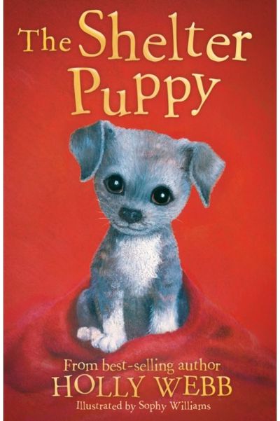 The Shelter Puppy