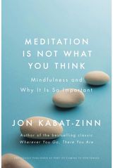 Meditation is Not Mindfulness and Why