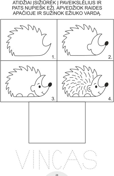 RAIDĖS, SKAIČIAI IR FORMOS