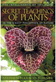 Secret Teachings of Plants: The Intelligence of the Heart in the Direct Perception of Nature