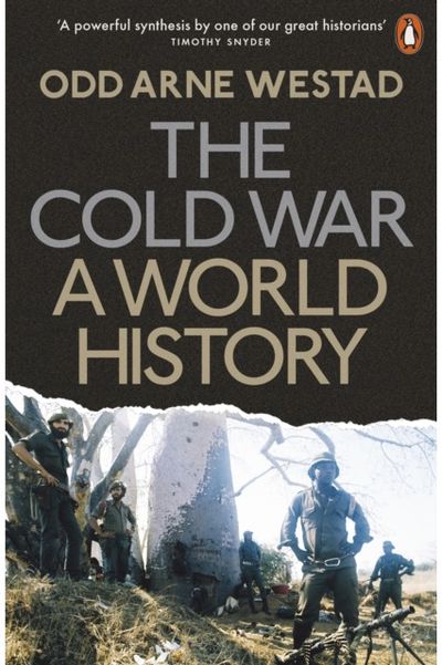 Cold War A World History