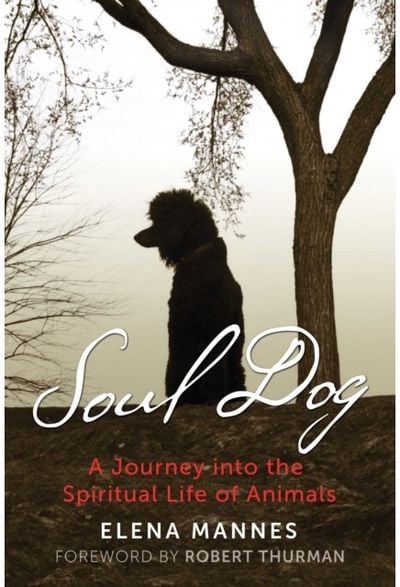 Soul Dog: A Journey into the Spiritual Life of Animals
