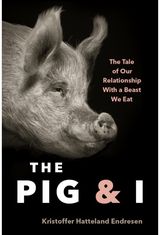 Pig and I The Tale of Our