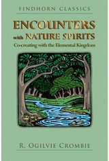 Encounters with Nature Spirits: Co-creating with the Elemental Kingdom