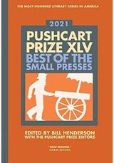 Pushcart Prize XLV: Best of the Small Presses 2021 Edition
