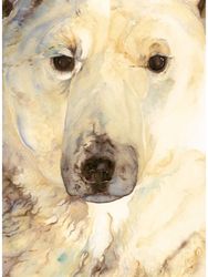 Ice Bear, The - Artist Edition