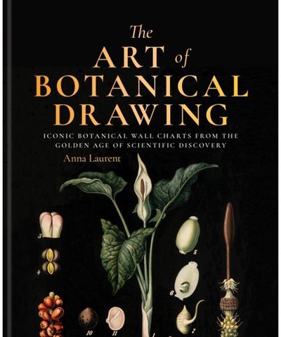 Art of Botanical Painting: Iconic botanical wall charts from the golden age of scientific discovery
