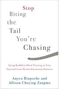 Stop Biting the Tail You're Chasing Using Buddhist Mind Training to Free Yourself from Painful Emotional Patterns