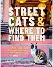 Street Cats & Where to Find Them: The Most Feline-Friendly Cities and Attractions Around the World