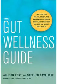 Gut Wellness Guide Reclaim Whole-Body Health