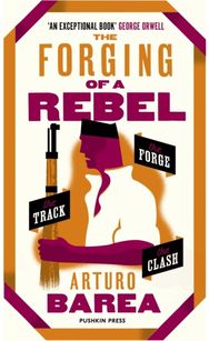 Forging of a Rebel