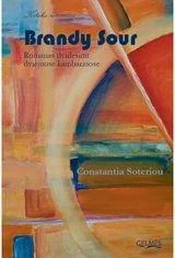 Romanas dvidešimt dviejuose kambariuose