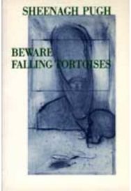 Beware Falling Tortoises