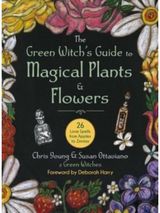 Green Witchs Guide 26 Love Spells from