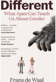Different What Apes Can Teach Us About Gender