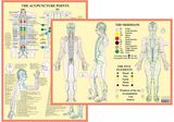 Meridians and 5
