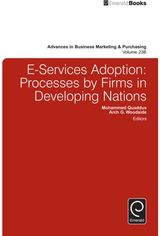 E-Services Adoption: Processes by Firms in Developing Nations