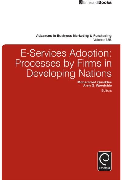 E-Services Adoption: Processes by Firms in Developing Nations